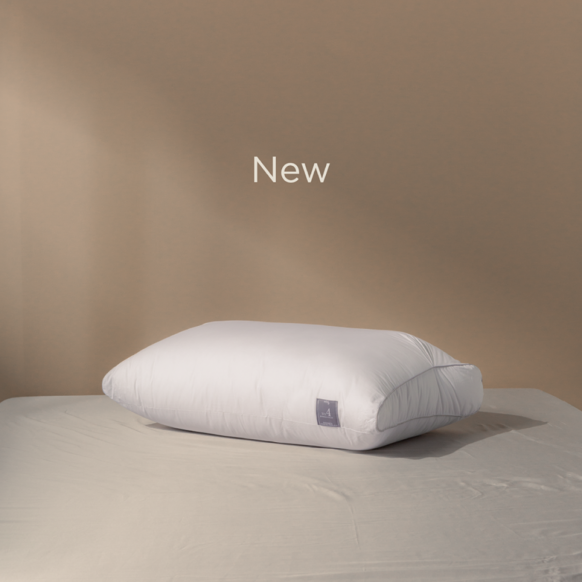 THE NEW BODY SCALE PILLOW NO 4 With Cotton Cover